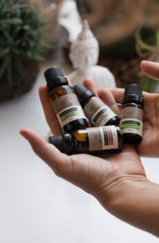 ACEITE ESENCIAL ORGÁNICO DE CEDRO